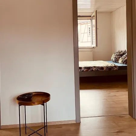 Odw Homes - Old Town Centrally Located Lejlighed Weinheim